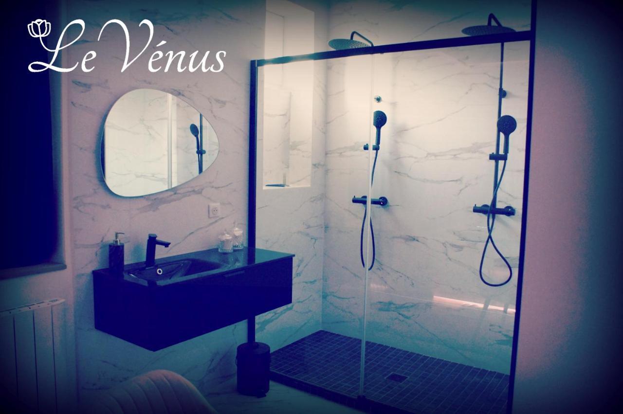 Le Vénus - Appartement SPA Privatif Balnéo Sauna Dijon Exterior foto